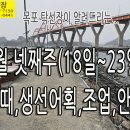 3월 넷째주 (18일~23일) 물때, 조업, 안내입니다. 이미지