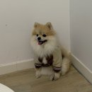 한신회센타 | 강릉 중앙 어시장 | 강릉한신회센터 방문 후기