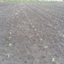 정훈농장2 이미지