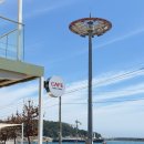 고운카페 | 경주 감포 오션뷰 카페 추천 ! 루나피에나 나정고운모래해변 여유로운 바다뷰 드라이브 코스 후기
