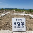 수 산 대 이미지