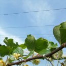 갈마농장 이미지