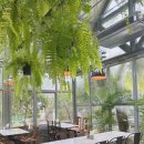 데이드림빌리버 | 방콕 아리역 인스타 감성 카페 데이드림빌리버