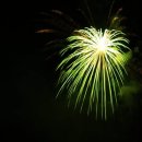 아미가르 이미지