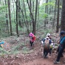 곡성-225 이미지