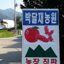 박달재농원 이미지