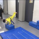 JE 양우합기도 이미지