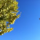 한 웅큼의 빛 이미지