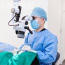 닥터고치과의원 이미지