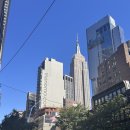 할랄푸드(HALAL FOOD) | 피크닉, 모마 못들어간 썰, 트럼프타워, 뉴욕양키스 매장 구경, 아델 할랄푸드(Adel's Famous Halal Food)