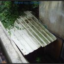 금일읍-5 이미지