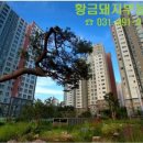 단지내황금공인중개사사무소 이미지