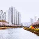 온천천일대3 이미지