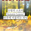 저스트와인 이미지