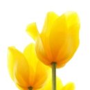 부자농장2 이미지