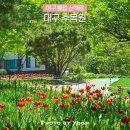 대구 사진찍기 좋은 곳 대구 수목원 튤립 청보리 입장료 산책로 정보