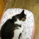 미소지음 이미지