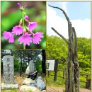 05)2. 莊子장자 內篇내편 第05篇 德充符덕충부(第2章)/ 주가 40% 폭등,커크 피살,뉴욕 10월에 K팝,800억원 힐튼 호 이미지