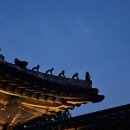 2025 경복궁 야간개장 후기 : 조명이 켜진 풍경
