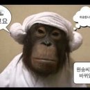 스크린호텔 이미지