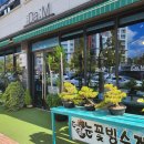 더닮 이미지