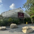 애니멀랜드 이미지