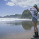 자연의 미학 이미지