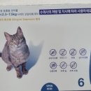 유하약국 이미지