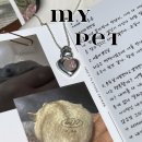 안스부산 이미지