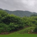 장락천 네이버블로그