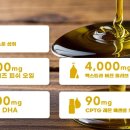 이오피쉬 이미지