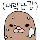 위례 리브루 카페