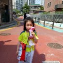 서오태권도 이미지