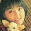 태평양7080 이미지