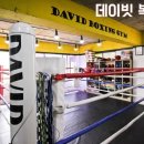 데이빗복싱체육관