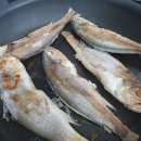 영굴비수산