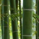 경희동의보감한의원 이미지