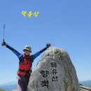 산악형 국립공원 등정결과 이미지