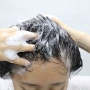 아도르헤어 이미지