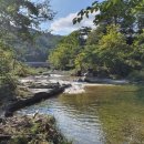 평창 오대산 사고 이미지