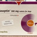 행복한정약국 이미지