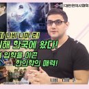부산나비주