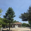 충주 열린캠핑장 방문 후기 - 자연 속에서 힐링했던 충북 캠핑장 추천