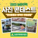 행복한이야기 | [📸사진콘테스트 발표] 반려동물과 행복한 전원생활 이야기!