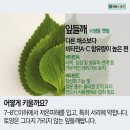 영수농장 이미지