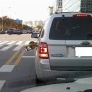 김여사주유소 이미지