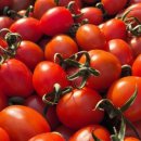 싱싱청과 이미지