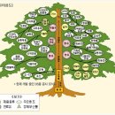 현대석유주 이미지
