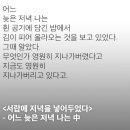 노벨상 한강 작가의 문장 이미지