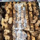 명성양봉 금주의 꿀벌관리 (20일~26일) 이미지